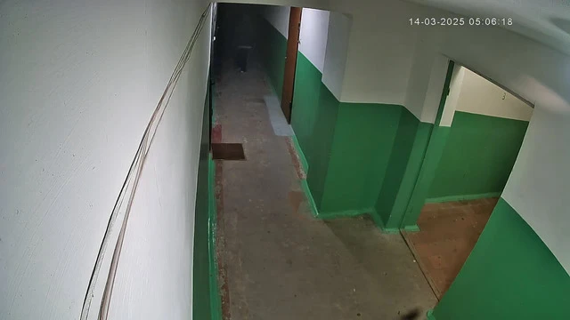 Приход #436 (неудачно)