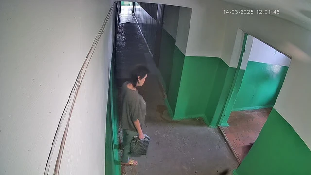 Приход #440 (трогают камеру)