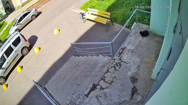 Приход #767 (доставка, двойной)