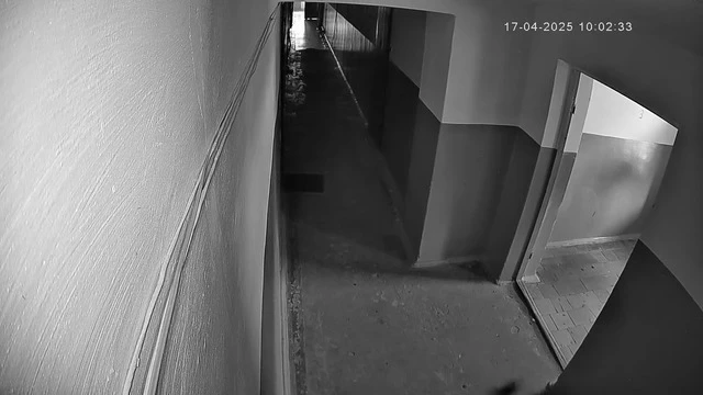 Алкопритон под весёлую музыку #5